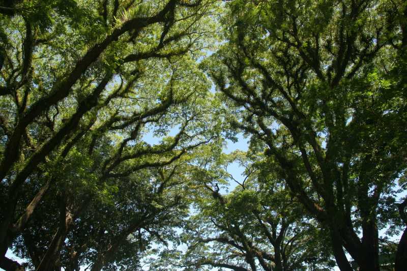 Wachstum erschließen